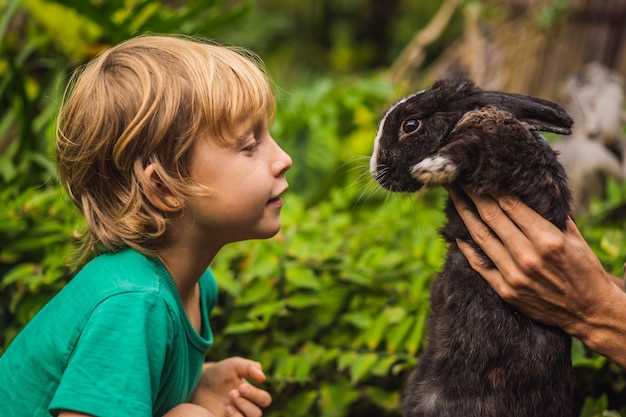Психологические преимущества общения детей с животными